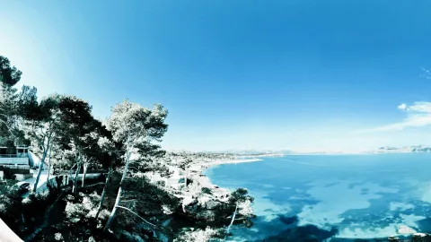 Panoramablick auf eine felsige Küste mit Kiefern und Häusern, davor türkisblaues Meer unter wolkenlosem blauen Himmel.