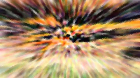 Abstrakte Komposition aus radialen Farbstreifen in Orange, Gelb, Grün und Dunkelbraun, die von der Mitte nach außen strahlen.