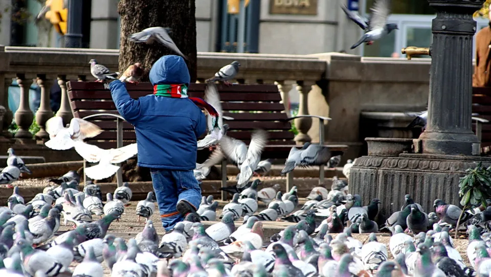 Ein Kind in blauer Jacke mit rotem Schal steht mitten in einem Schwarm Tauben auf einem Platz, die Arme ausgestreckt, während Vögel um es herum auffliegen.
