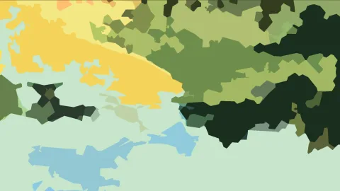 Abstrakte Komposition aus unregelmäßigen Farbflächen in Gelb, verschiedenen Grüntönen, Dunkelgrün und Hellblau, die dicht ineinander übergehen.