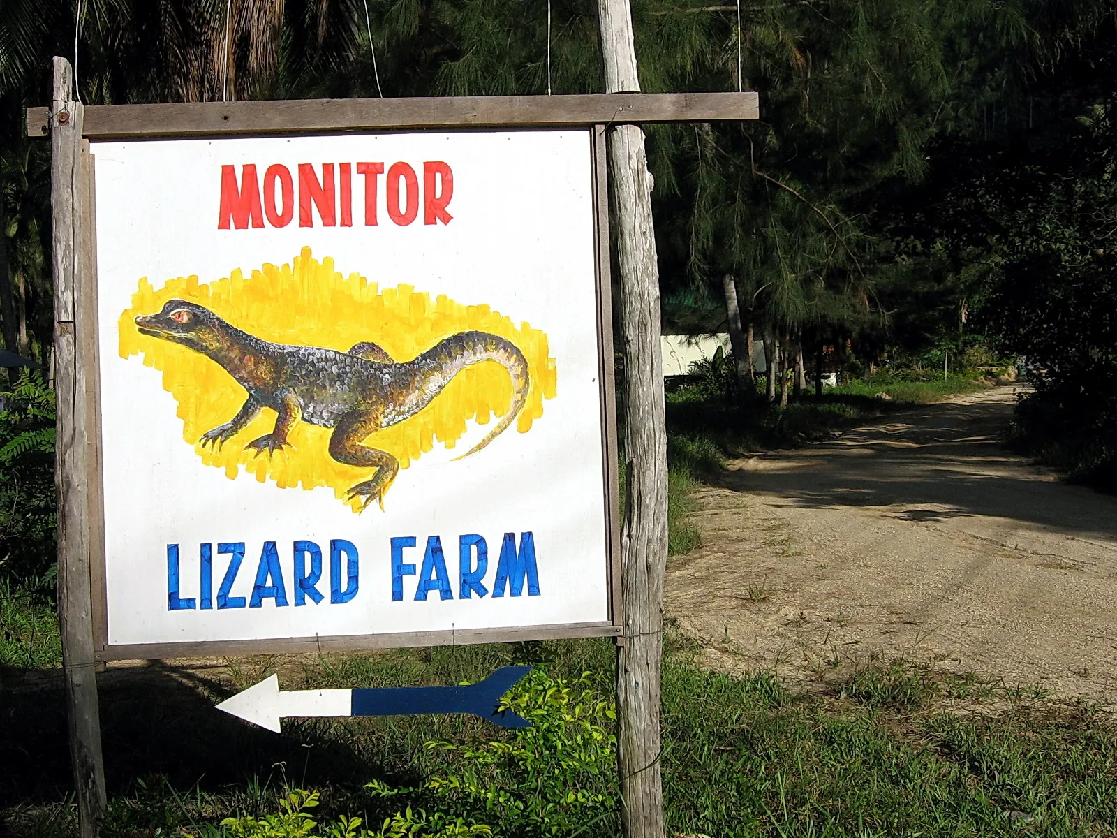 Holzschild mit der Aufschrift MONITOR LIZARD FARM und einem gemalten Waran auf gelbem Hintergrund, darunter ein blauer Pfeil nach links neben einem sandigen Weg