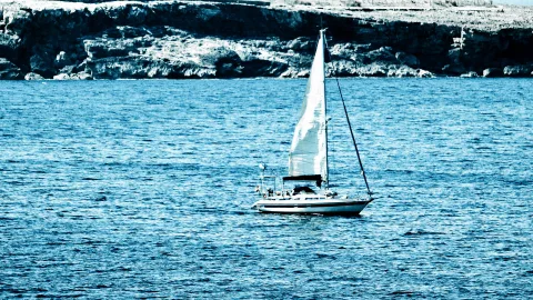 Ein weißes Segelboot mit gesetztem Großsegel fährt auf einem blau getönten Meer vor einer felsigen Küste.