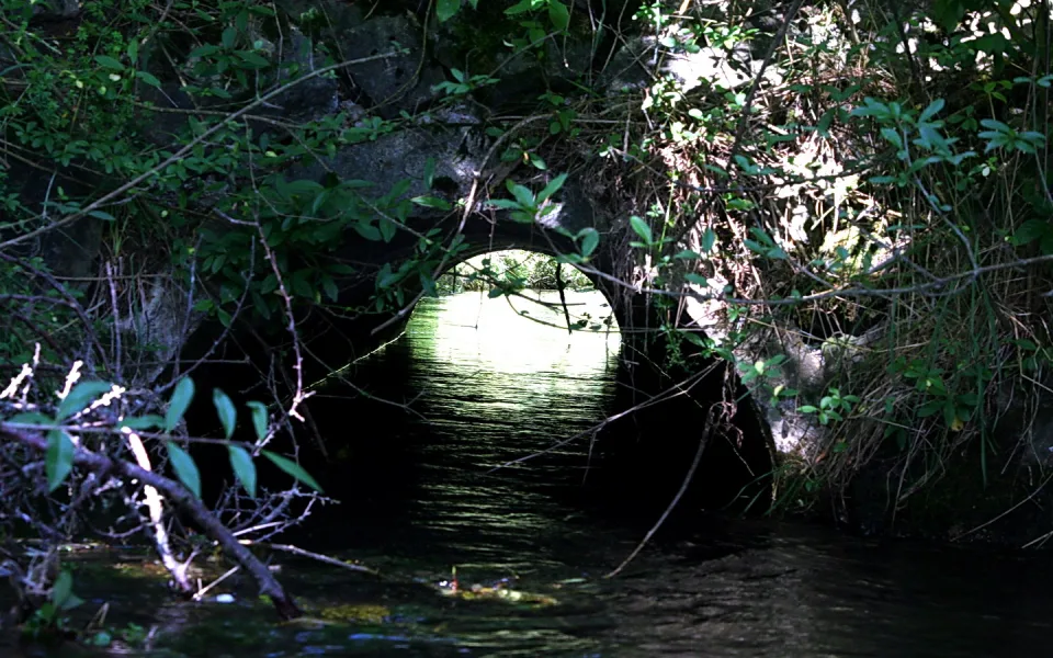 Ein runder Betondurchlass in einer dunklen Steinmauer, aus dem Wasser fließt. Am Ende leuchtet helles Licht, rundherum wachsen grüne Büsche und Zweige.