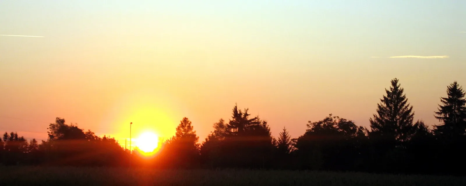 Die tief stehende Sonne geht hinter einer Baumreihe und einem Feld unter, der Himmel leuchtet orange und rosa.