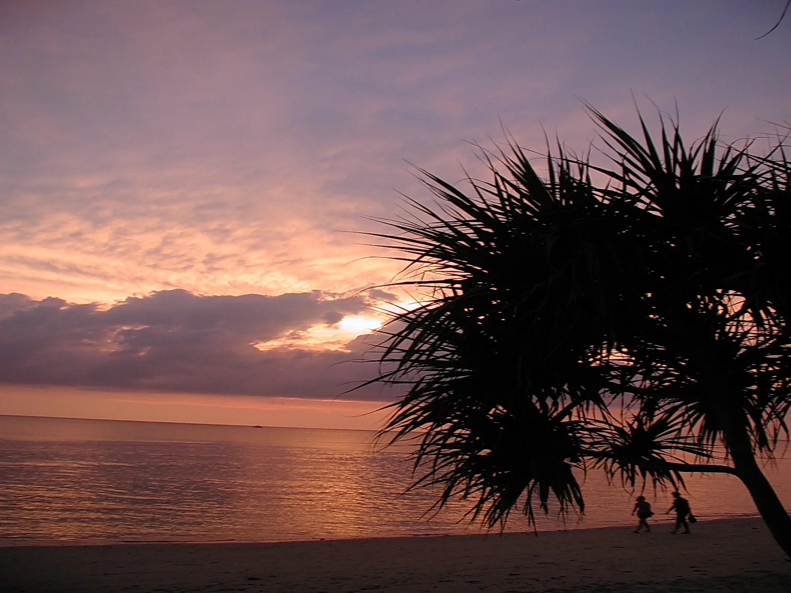 Sonnenuntergang über dem Meer mit violett-rosa Himmel und Wolken, rechts im Vordergrund die dunkle Silhouette einer Pandanus-Palme, am Strand gehen zwei kleine Personen.