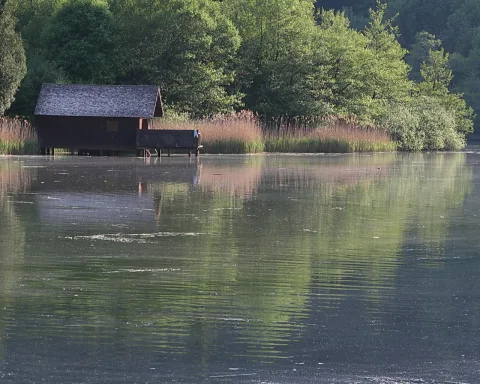 Dunkle Holzhütte mit Schindeldach steht links auf Pfählen im Wasser, dahinter Laubbäume und Schilf, Spiegelung im ruhigen Seewasser.