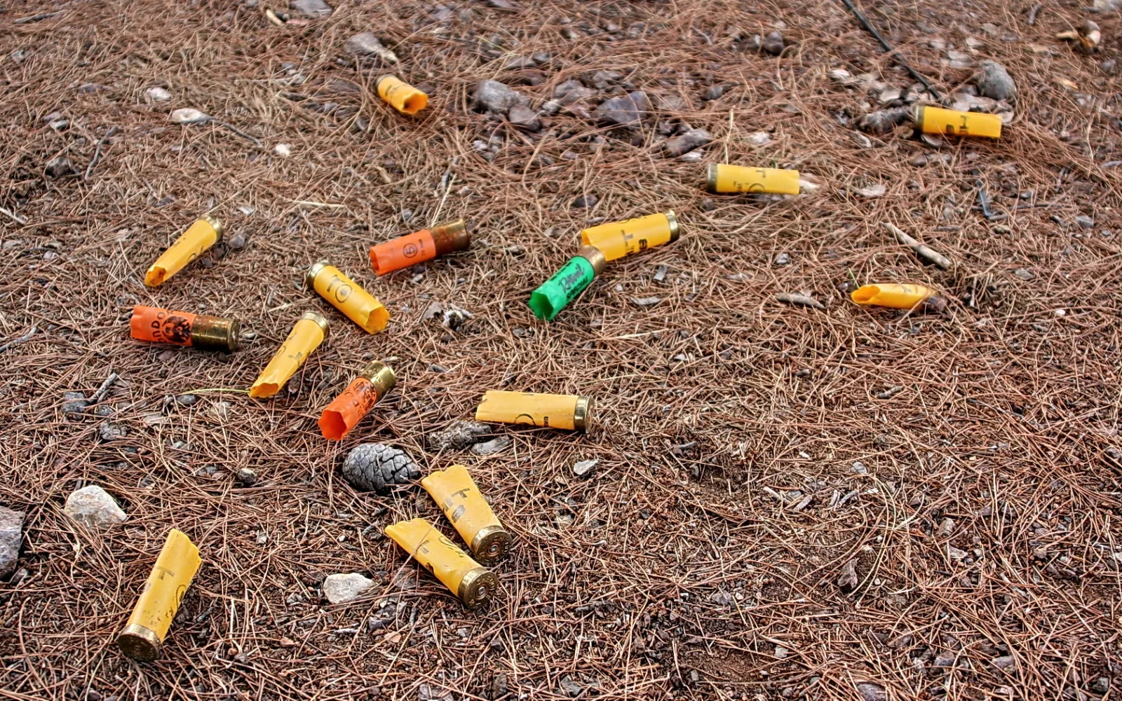 Mehrere leere Schrotpatronenhülsen in Gelb, Orange und Grün liegen verstreut auf braunen Kiefernnadeln und kleinen Steinen am Waldboden.