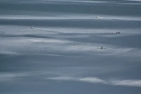 Mehrere kleine Boote fahren auf einer blaugrauen, glitzernden Wasseroberfläche eines Sees.