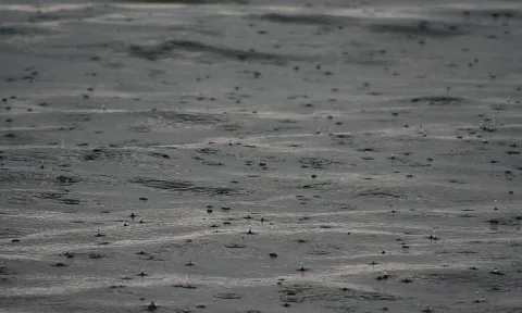 Regen fällt auf eine graue Wasseroberfläche, überall entstehen kleine Spritzer und Kreise.