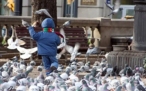 Kind in blauer Jacke mit Schal steht inmitten eines Taubenschwarms auf einem Platz, im Hintergrund eine Holzbank und eine steinerne Laterne