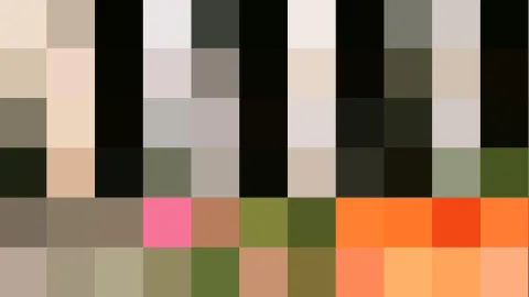 Abstraktes Mosaik aus grob gerasterten Farbfeldern in Beige, Schwarz, Grau, Olivgrün, Rosa und Orange, angeordnet in sechs Zeilen.