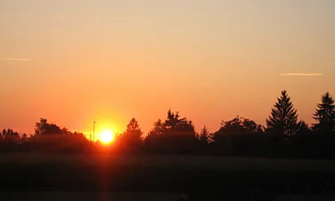 Orangefarbene Sonne geht hinter einer Reihe dunkler Bäume unter, der Himmel verläuft von Gelb über Orange bis Hellblau, am rechten Rand zieht ein dünner Kondensstreifen.