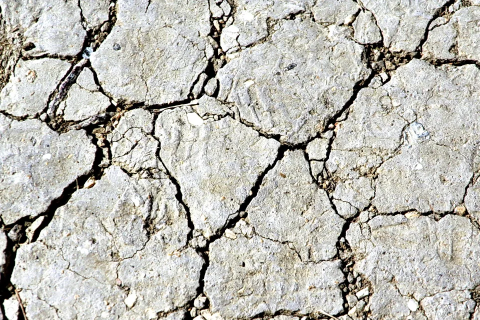Nahaufnahme einer grauen, stark rissigen Gesteinsoberfläche mit dunklen Spalten und helleren Bruchstücken