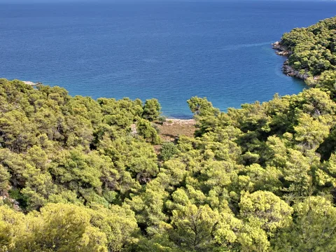 Blick von oben auf einen dichten Pinienwald, der an eine kleine Bucht mit tiefblauem Meer und einem schmalen Sandstrand grenzt.