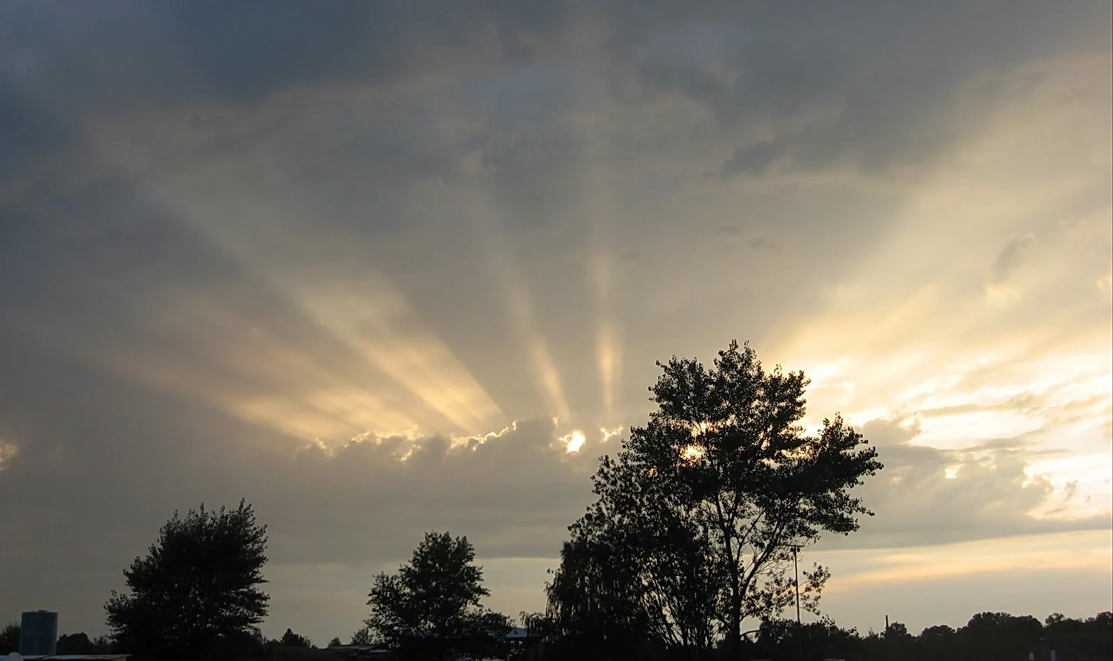 Abendhimmel mit dunklen Wolken, aus denen Sonnenstrahlen fächerförmig nach oben und zur Seite fallen. Rechts im Bild steht eine große Baumsilhouette, links eine kleinere, am Horizont sind Baumreihen zu sehen.